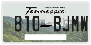 810BJMW  license plate in TN