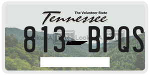 813BPQS  license plate in TN