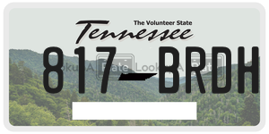 817BRDH  license plate in TN