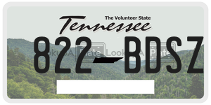 822BDSZ  license plate in TN