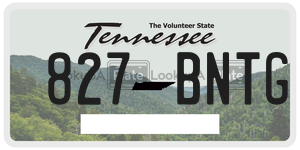 827BNTG  license plate in TN