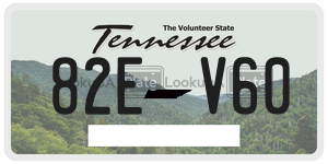 82EV60  license plate in TN