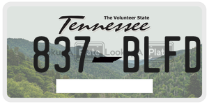 837BLFD  license plate in TN