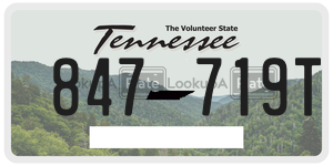 847719T  license plate in TN