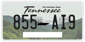 855AI9 license plate in Tennessee