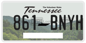 861BNYH  license plate in TN