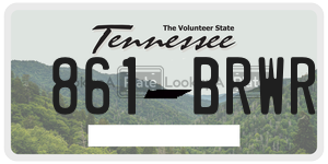 861BRWR  license plate in TN