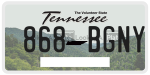 868BGNY  license plate in TN