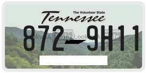 8729H11  license plate in TN