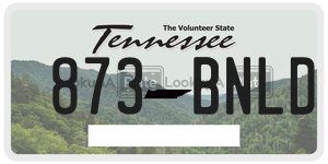 873BNLD  license plate in TN