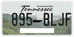 895BLJF  license plate in TN
