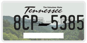 8CP5385  license plate in TN
