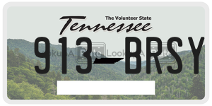 913BRSY  license plate in TN