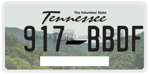 917BBDF  license plate in TN