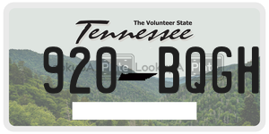 920BQGH  license plate in TN