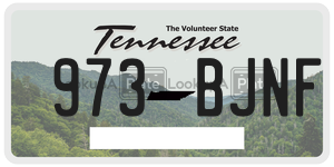 973BJNF  license plate in TN