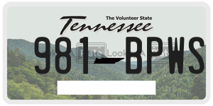 981BPWS  license plate in TN