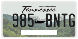 985BNTG  license plate in TN