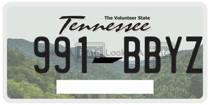 991BBYZ  license plate in TN