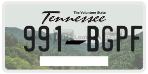 991BGPF  license plate in TN