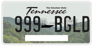 999BGLD  license plate in TN