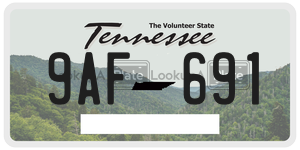 9AF691  license plate in TN