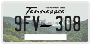 9FV308  license plate in TN