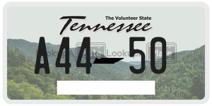 A4450  license plate in TN