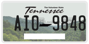 AI09848  license plate in TN