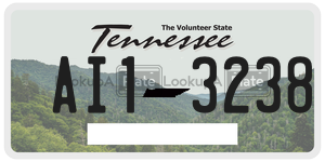AI13238  license plate in TN