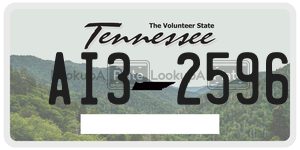 AI32596  license plate in TN
