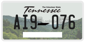 AI9076  license plate in TN