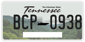 BCP0938  license plate in TN