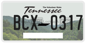 BCX0317  license plate in TN