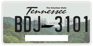 BDJ3101  license plate in TN