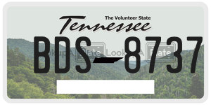 BDS8737  license plate in TN