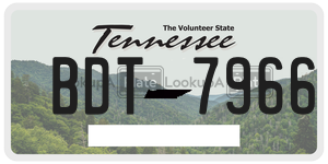 BDT7966  license plate in TN