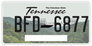 BFD6877  license plate in TN