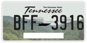 BFF3916  license plate in TN