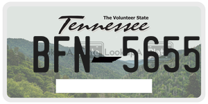 BFN5655  license plate in TN