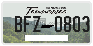BFZ0803  license plate in TN