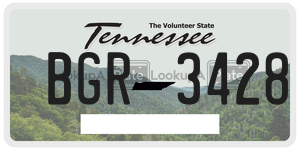 BGR3428  license plate in TN