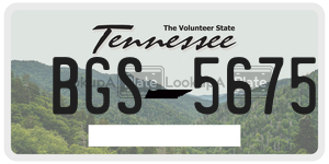 BGS5675  license plate in TN