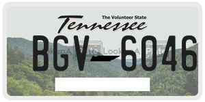 BGV6046  license plate in TN