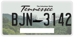 BJN3142  license plate in TN