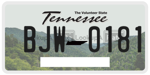 BJW0181  license plate in TN