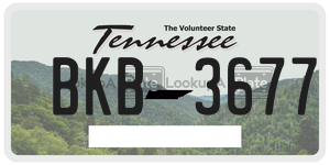 BKB3677  license plate in TN
