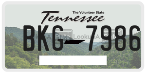 BKG7986  license plate in TN