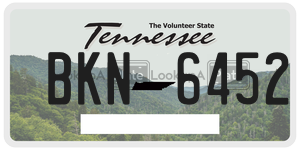 BKN6452  license plate in TN