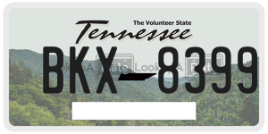 BKX8399  license plate in TN